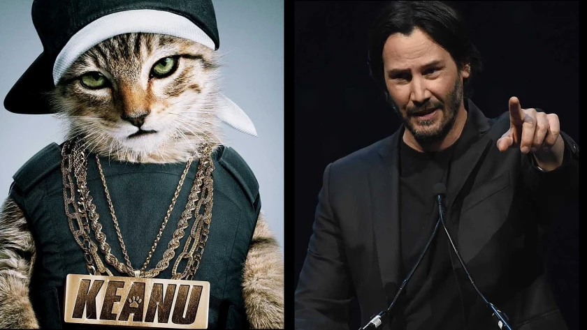 enkemand cylinder afslappet How Key and Peele got Keanu Reeves to voice a cat in 'Keanu' - Los Angeles  Times