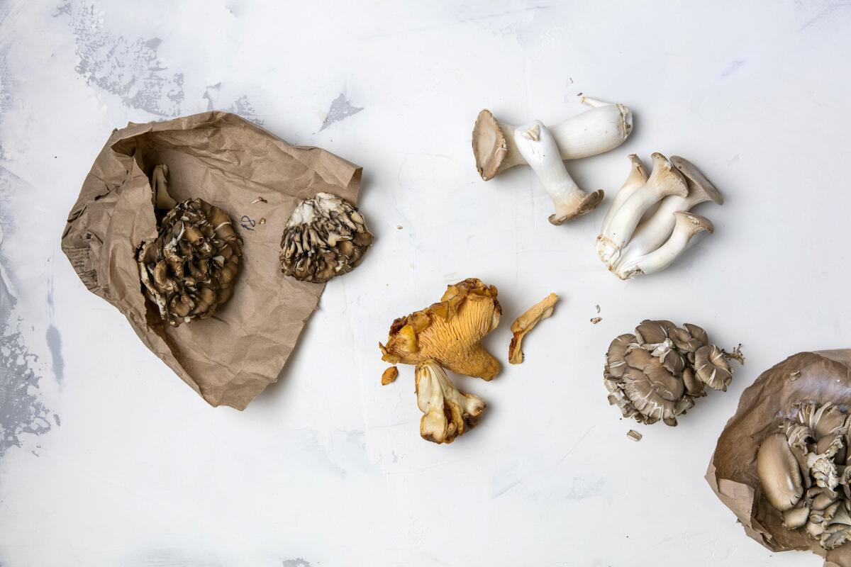 Mushroom varieties, from left: maitake, chanterelle, King oyster and regular oyster