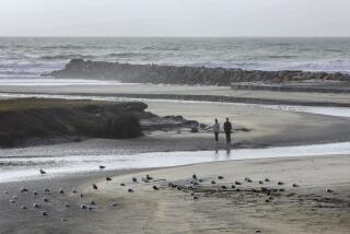 Oceanside, CA - January 05: The recent storms have sent the San Luis Rey River flowing into the ocean in this afternoon view at low tide. In the distance is the Oceanside Harbor's South Jetty. (Charlie Neuman / For The San Diego Union-Tribune)