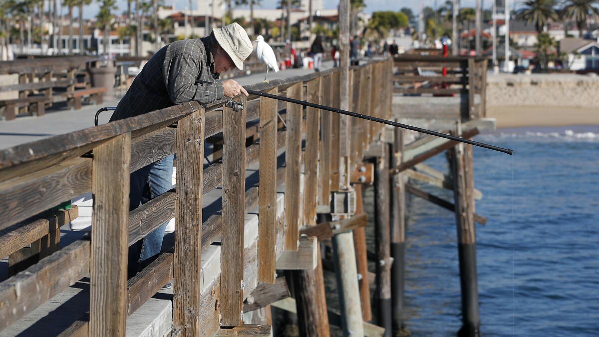Newport Beach considers recycling program for Balboa Pier anglers