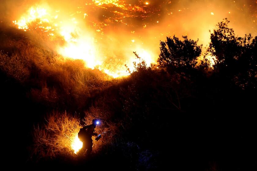 A firefighter starts a backfire along San Gabriel Canyon Road in Azusa as the Colby fire burns through brush in January.