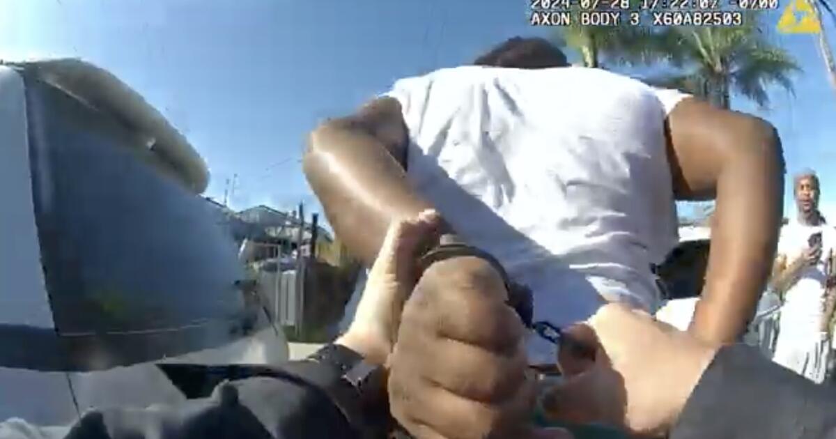 LAPD releases physique cam video of officer punching handcuffed man