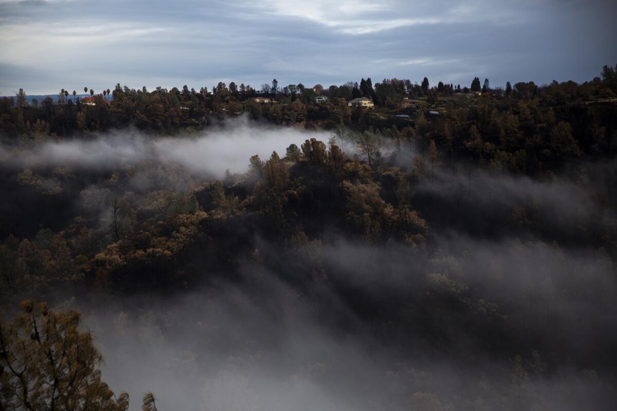 Fog creeps along Butte Creek, viewed from Skyway, headed into the town of Paradise.