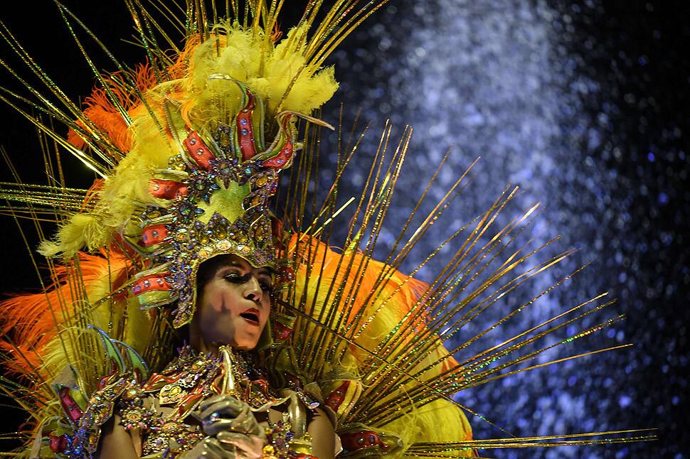 2015 Carnival in Rio de Janeiro