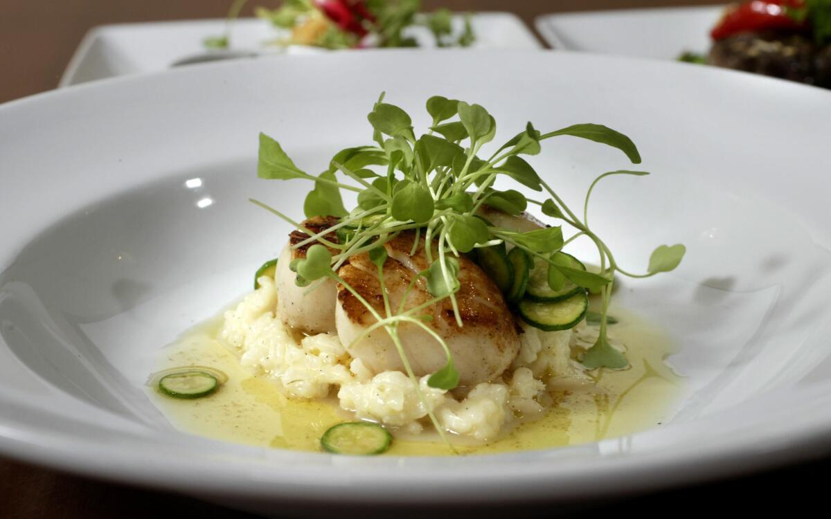 Seared scallops with vanilla risotto