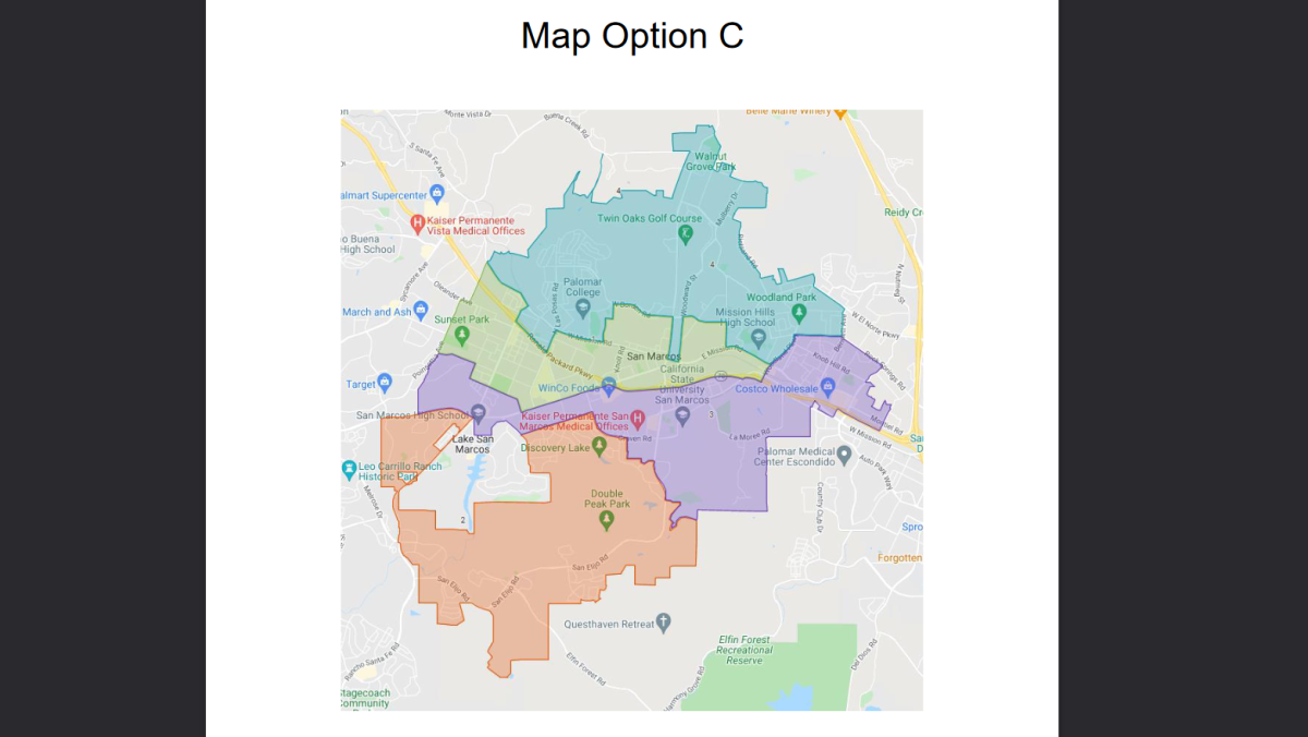 The new San Marcos voting map.
