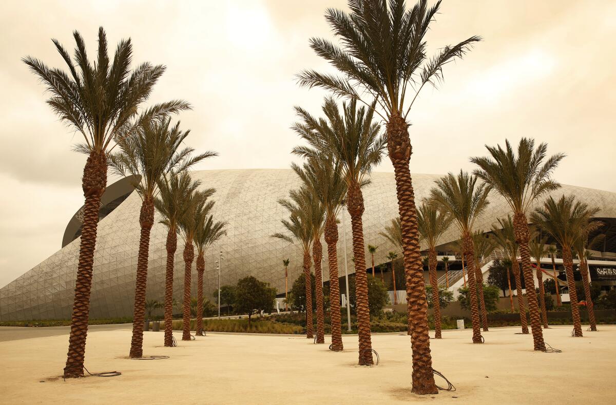 Palm trees lined up in front of SoFi Stadium