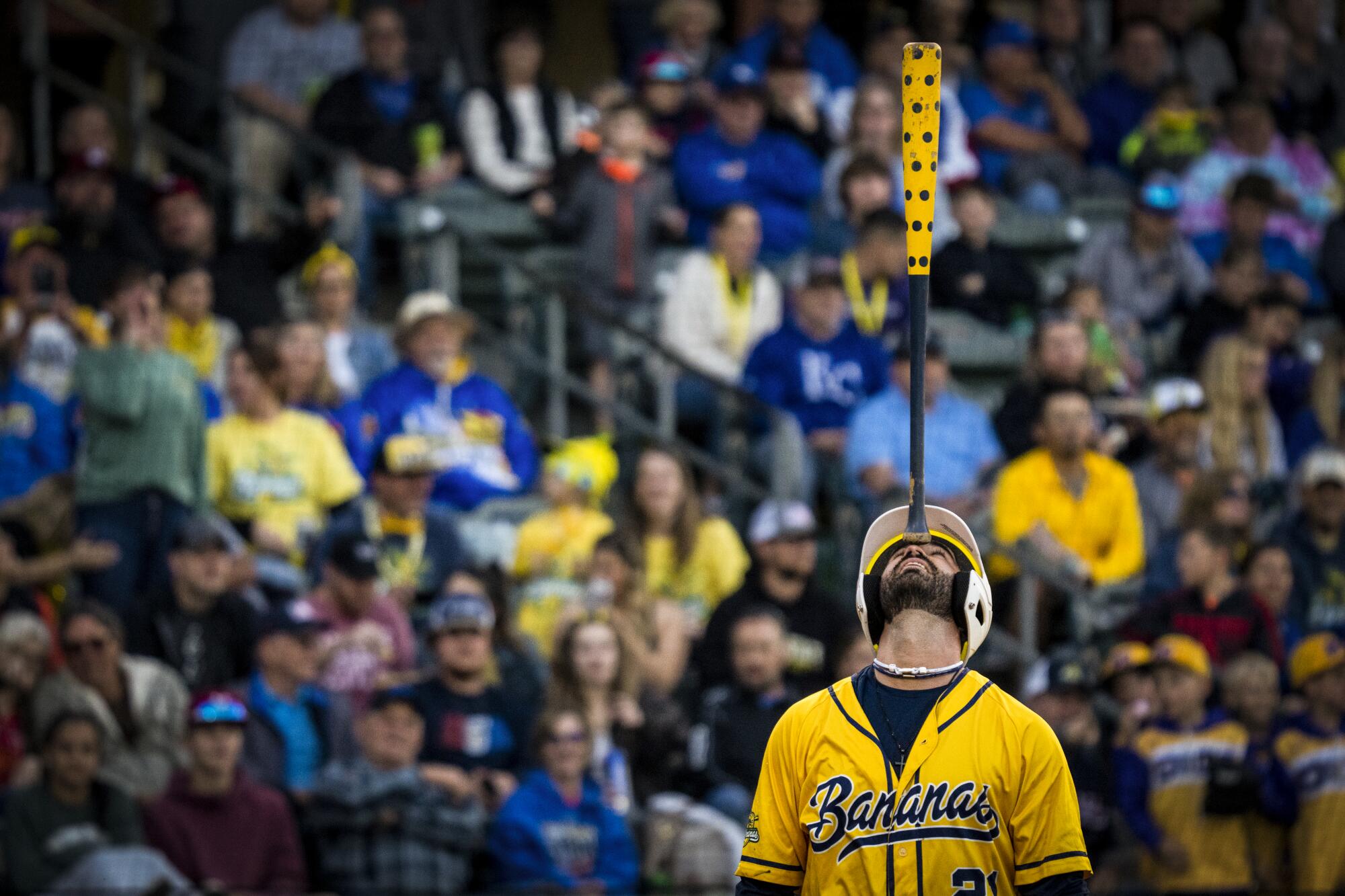 Meet the Savannah Bananas, who wow fans and have MLB's attention - Los  Angeles Times