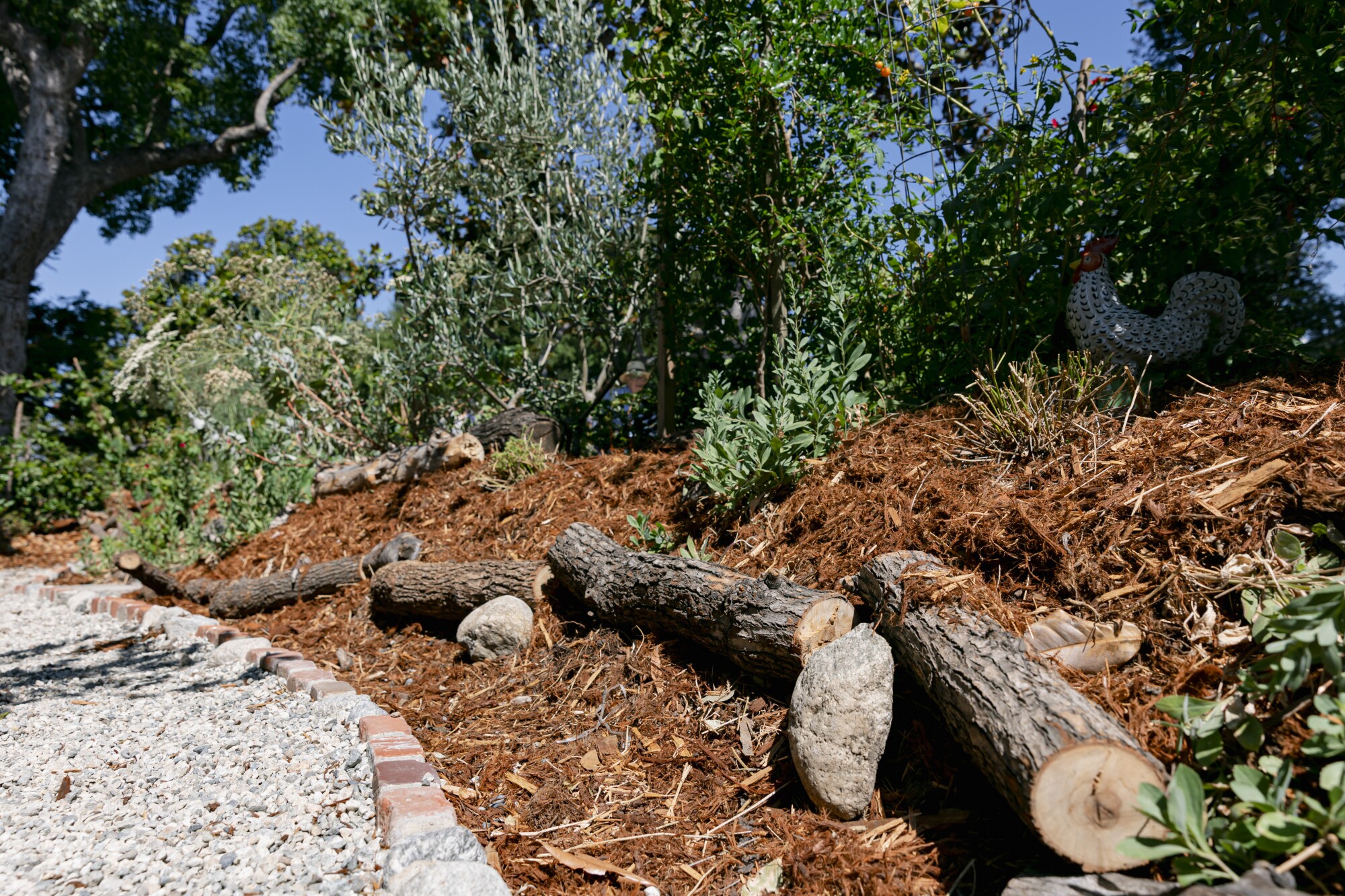 Tree limbs line the edge where mulch meets gravel