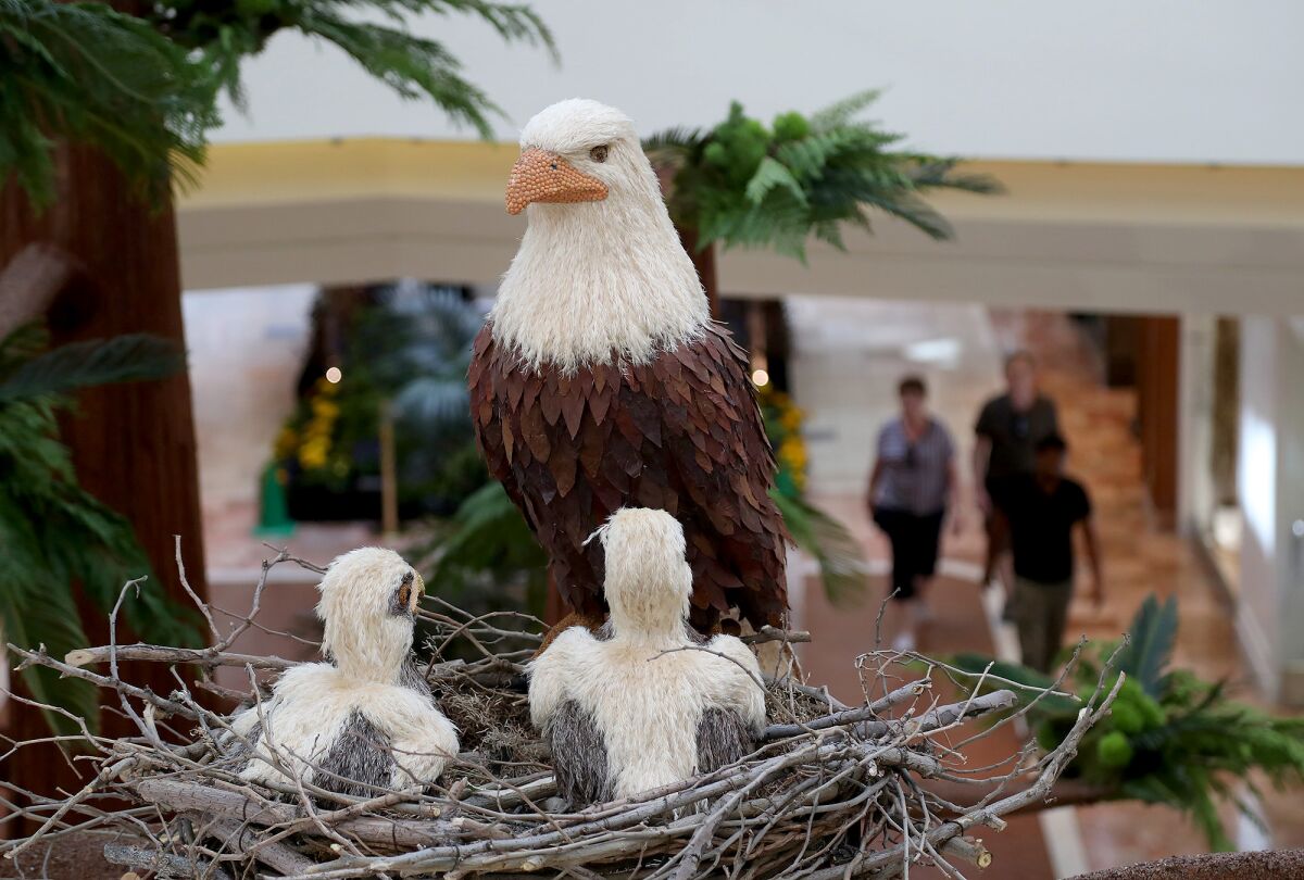 The "At One with Nature" exhibit inspired by the Pacific Northwest includes a bald eagle with her chicks.