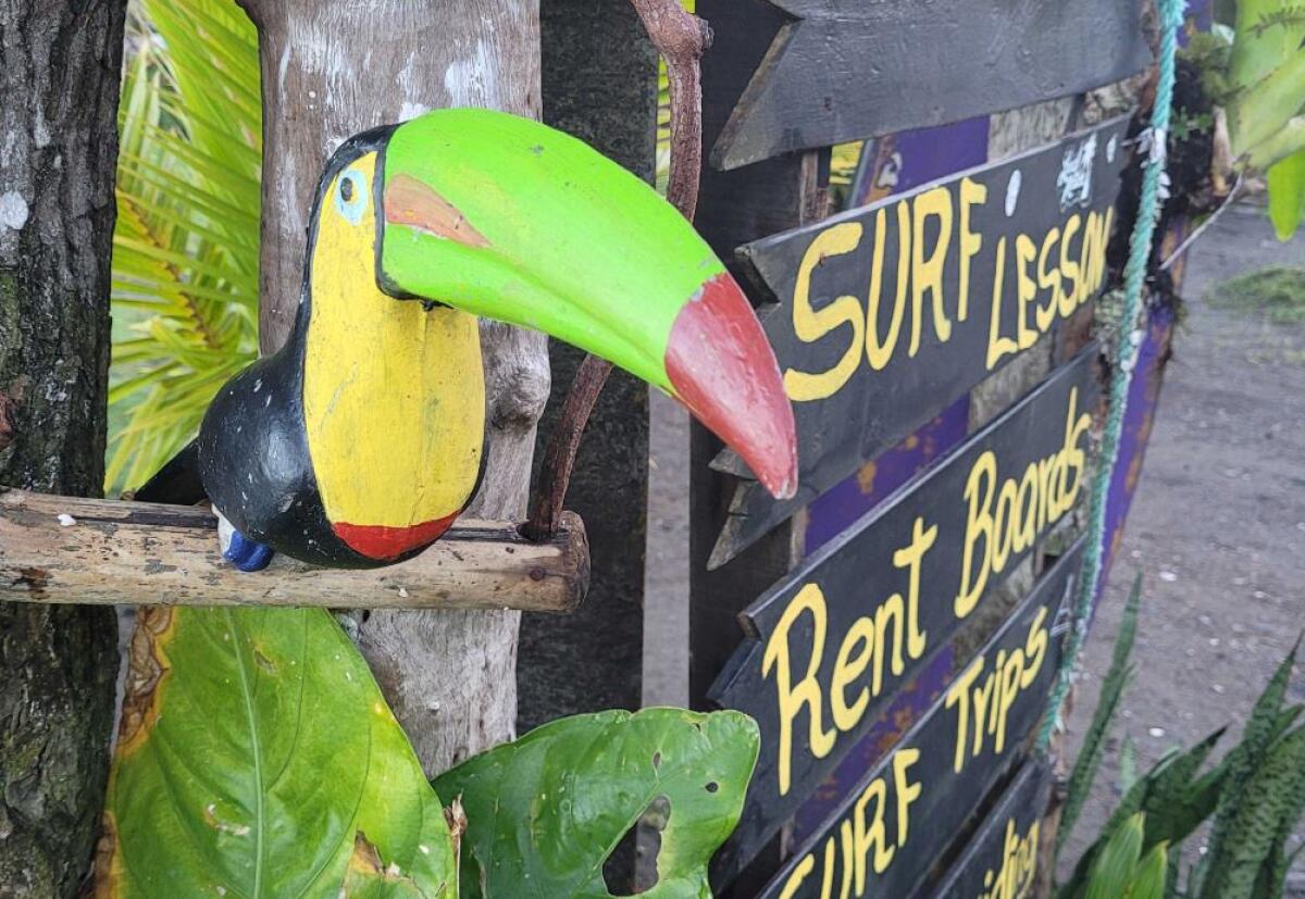 A wooden toucan outside a surf shack in Jacó, Costa Rica, where real toucans occasionally visit.