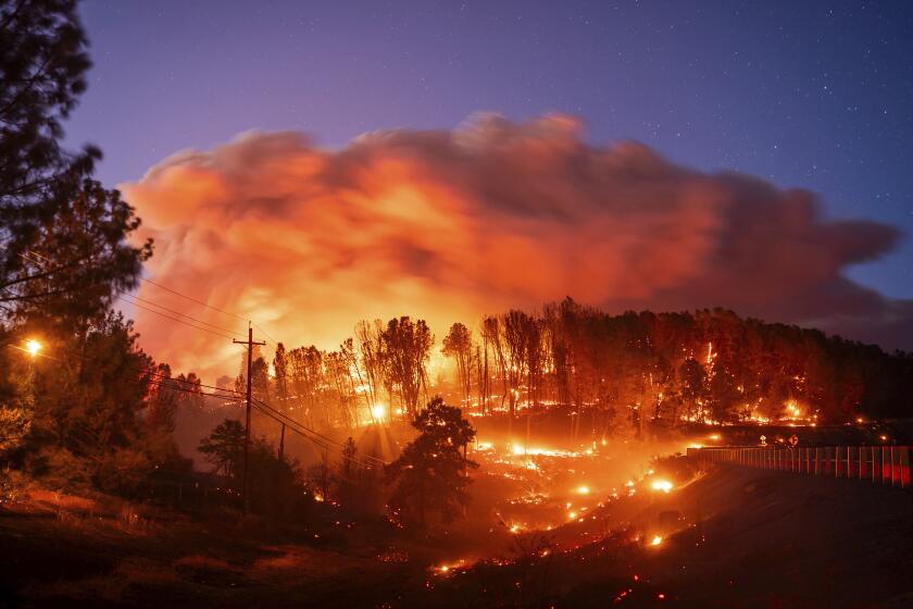 Seen in a long exposure photograph, the Park Fire burns along Highway 32 in the Forest Ranch community of Butte County, Calif., on Thursday, July 25, 2024. (AP Photo/Noah Berger)