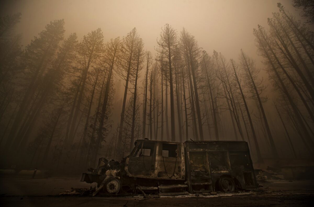 Burned trees rise above a truck destroyed by the Dixie fire 