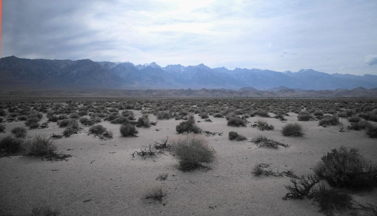Scrub brush near dry Owens Lake; to preserve Inyo County ranches, environmentalists have agreed to curtail water diversions for restoration of the Lower Owens River and controlling dust on the dry lake bed.