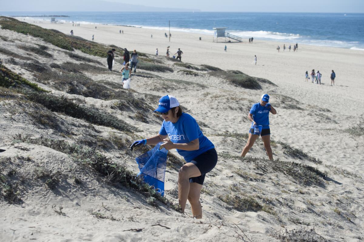 Volunteers pick up trash along a beach