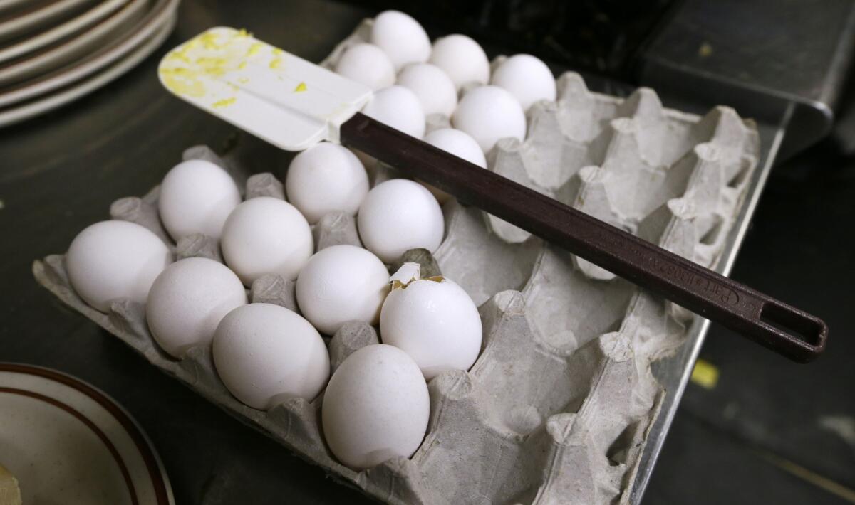 An outbreak of avian flu pushed egg prices up 18.3% last month, the largest jump since 1973.