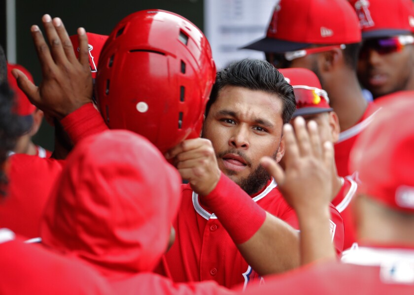 Angels infielder Jose Rojas is congratulated by teammates after scoring.