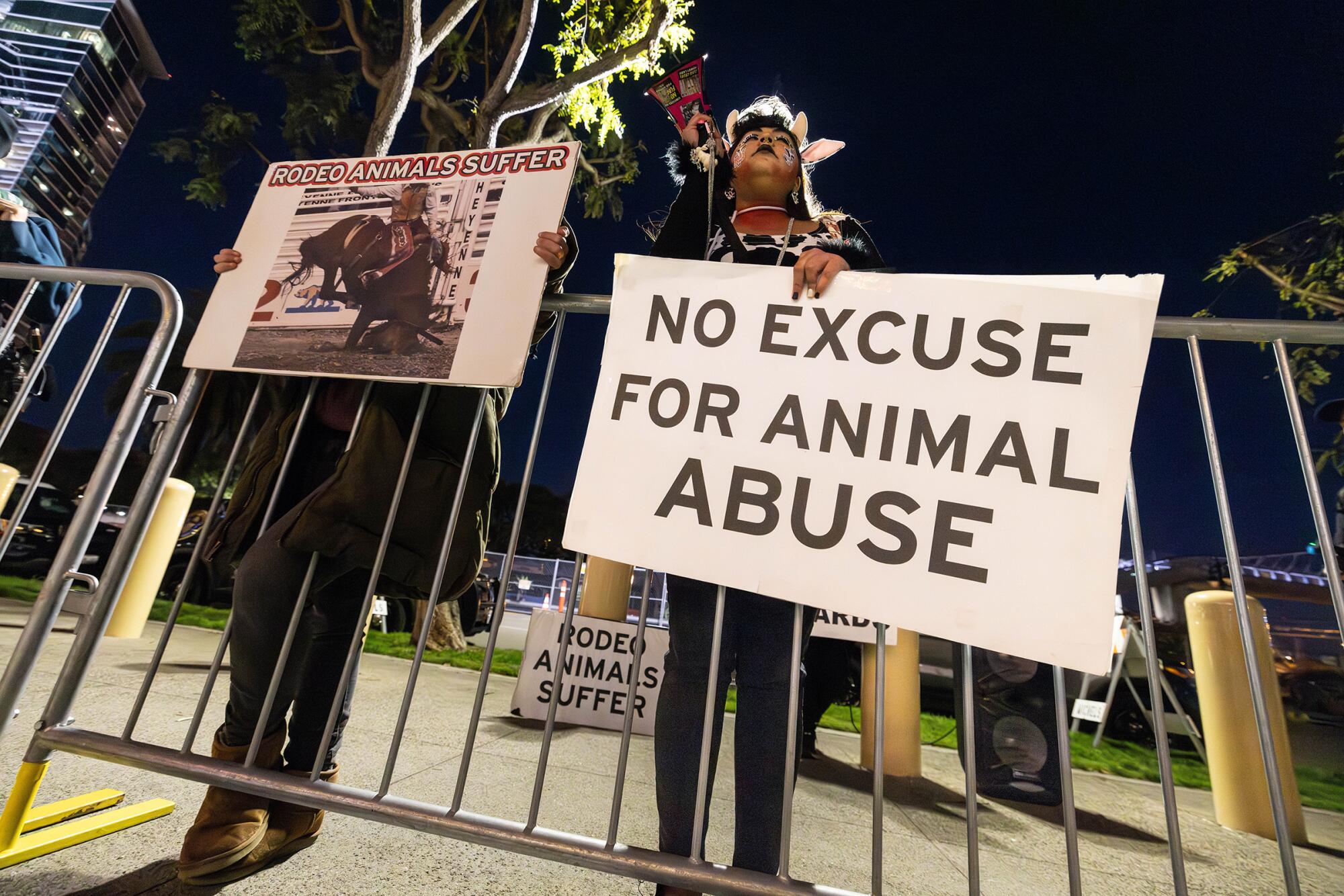 Two people stand outside the metal barriers, holding signs with words on them "Rodeo animals are suffering" And "There is no excuse for mistreating animals."