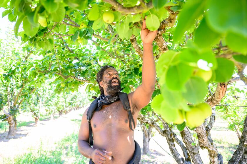 Farm Manager Brent Walker picks an apple.