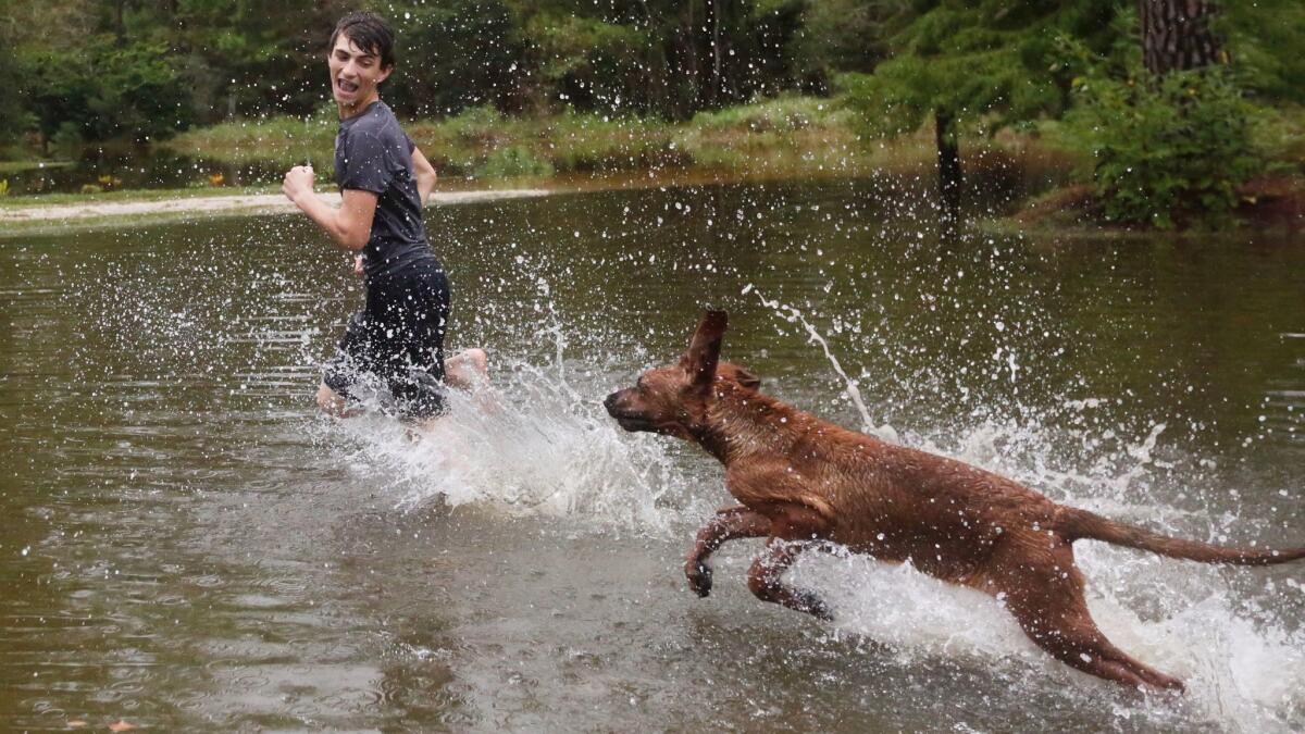 Tim Neilsen III, 16, is chased by his dog Chevy through flood waters that filled their front yard after Hurricane Nate came through on Sunday in Coden, Ala.