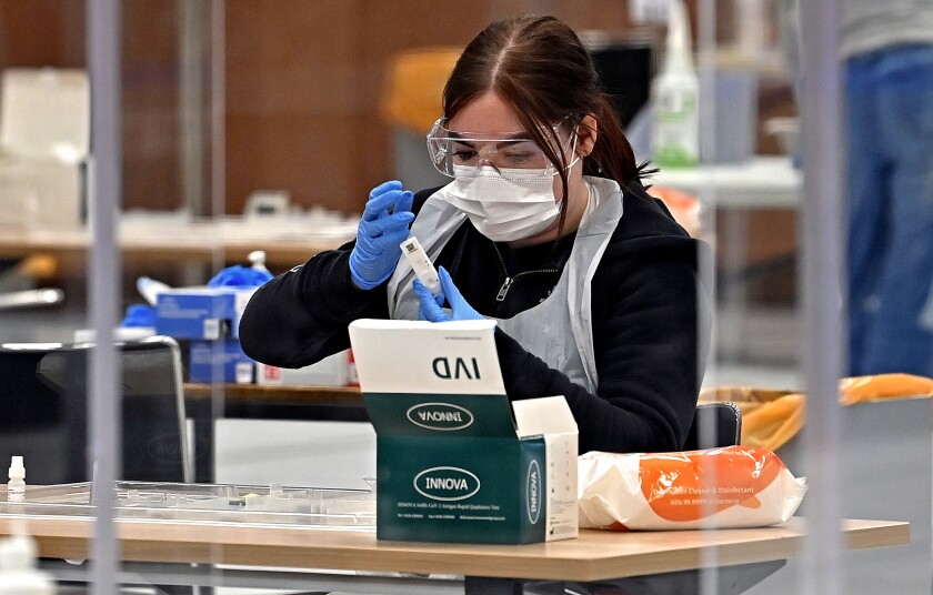 A worker processes an Innova COVID-19 test on a swab.
