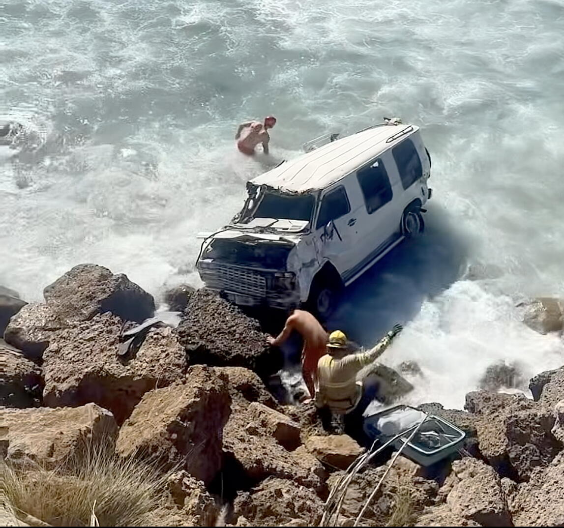 Watch dogs pulled from the Pacific after van plunges into the surf near Malibu