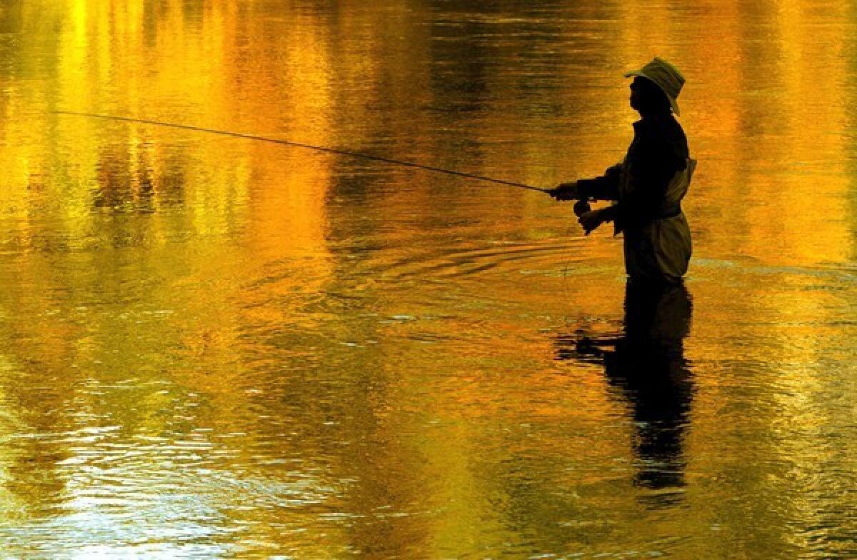 A fisherman tries his luck amid the seasonal colors on the Merced River.