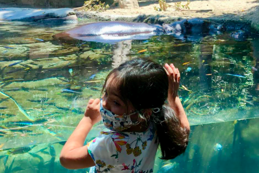 San Diego Zoo - The San Diego Union-Tribune