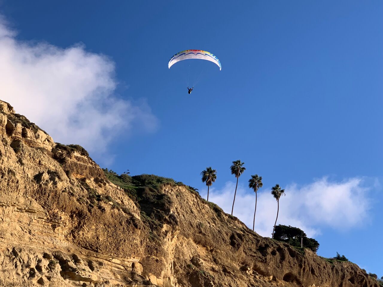 A paraglider soars high above the cliffs on the way to Black’s Beach.