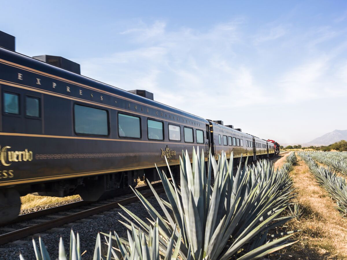 The Tequila Train, a.k.a. the Jose Cuervo Express, passes agave farms in Tequila, Mexico.