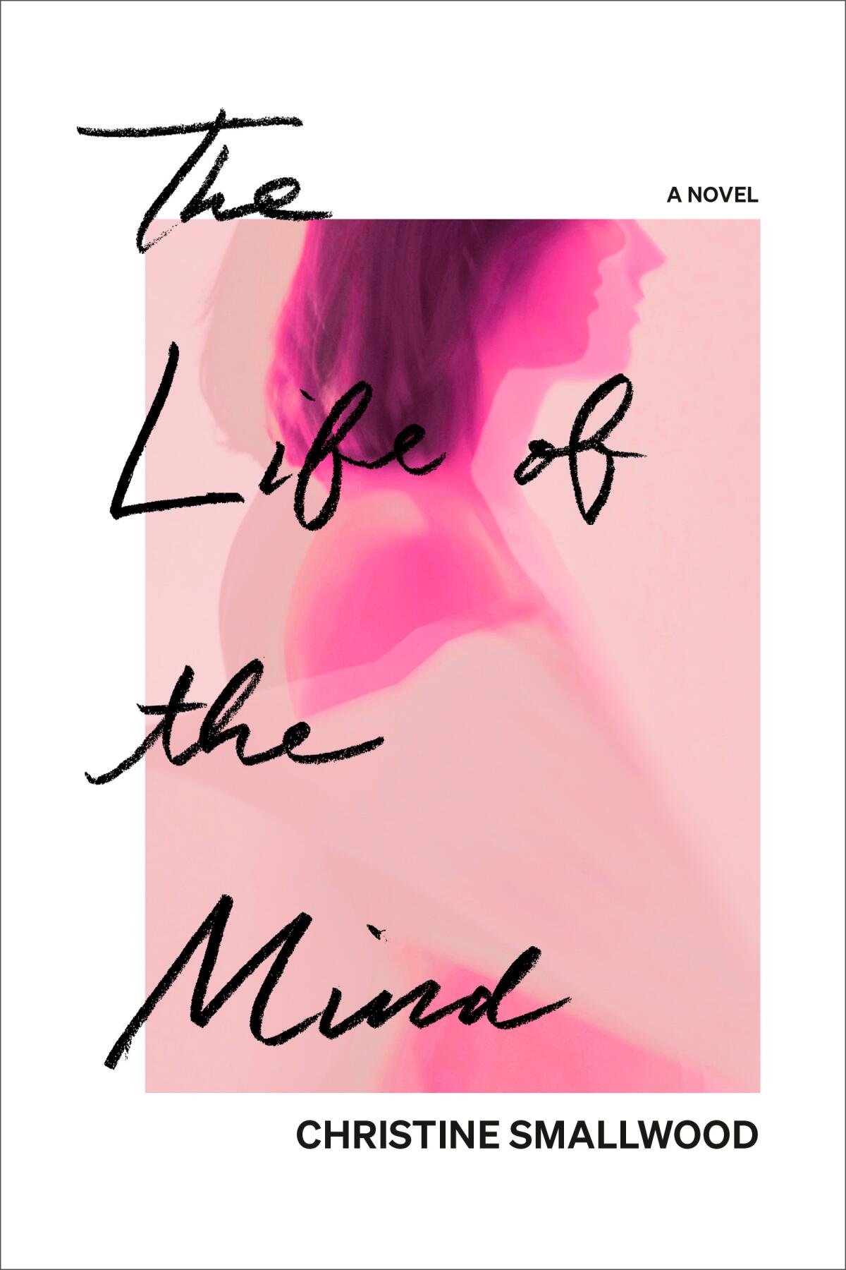 "The Life of the Mind," by Christine Smallwood