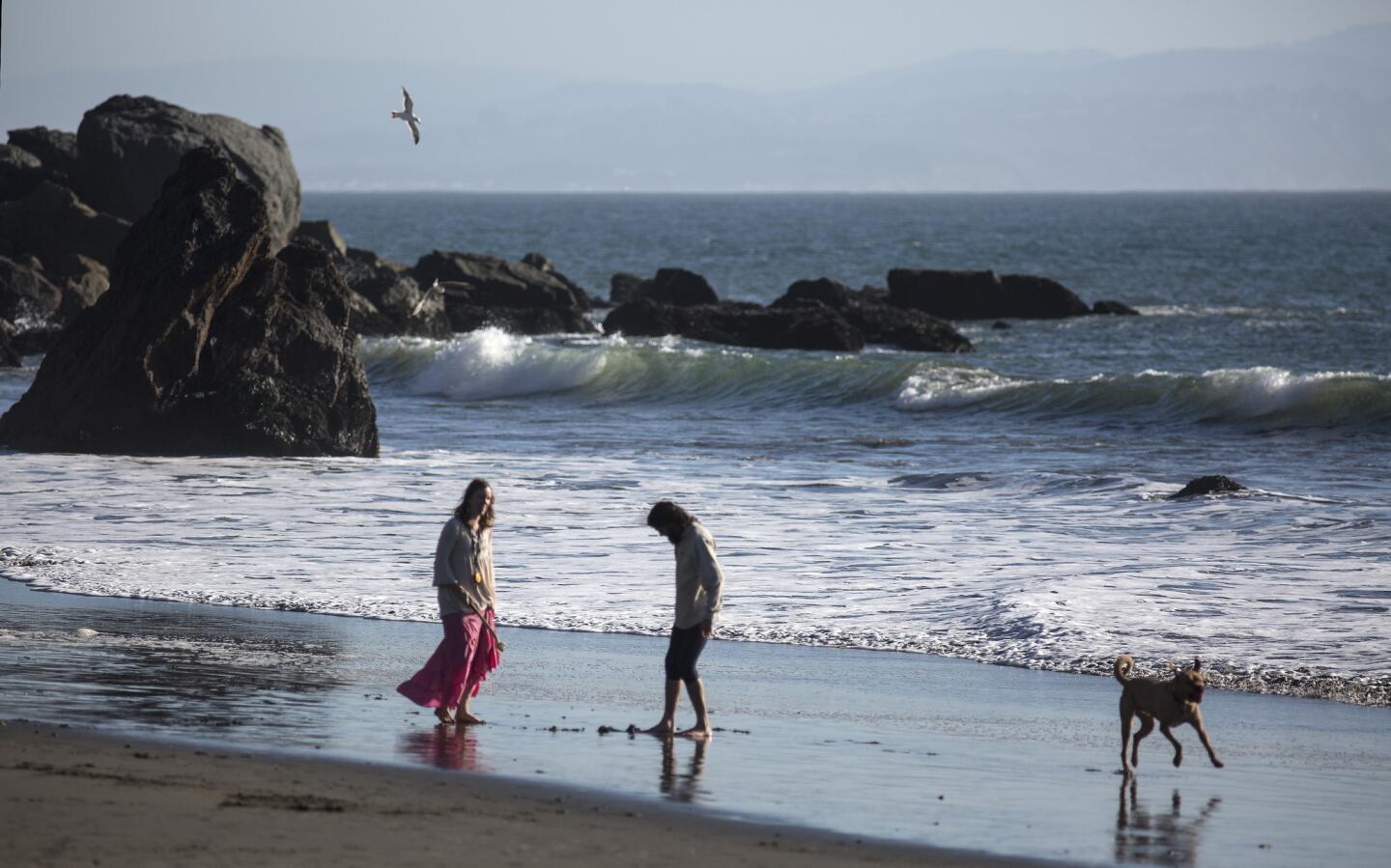 Muir Beach