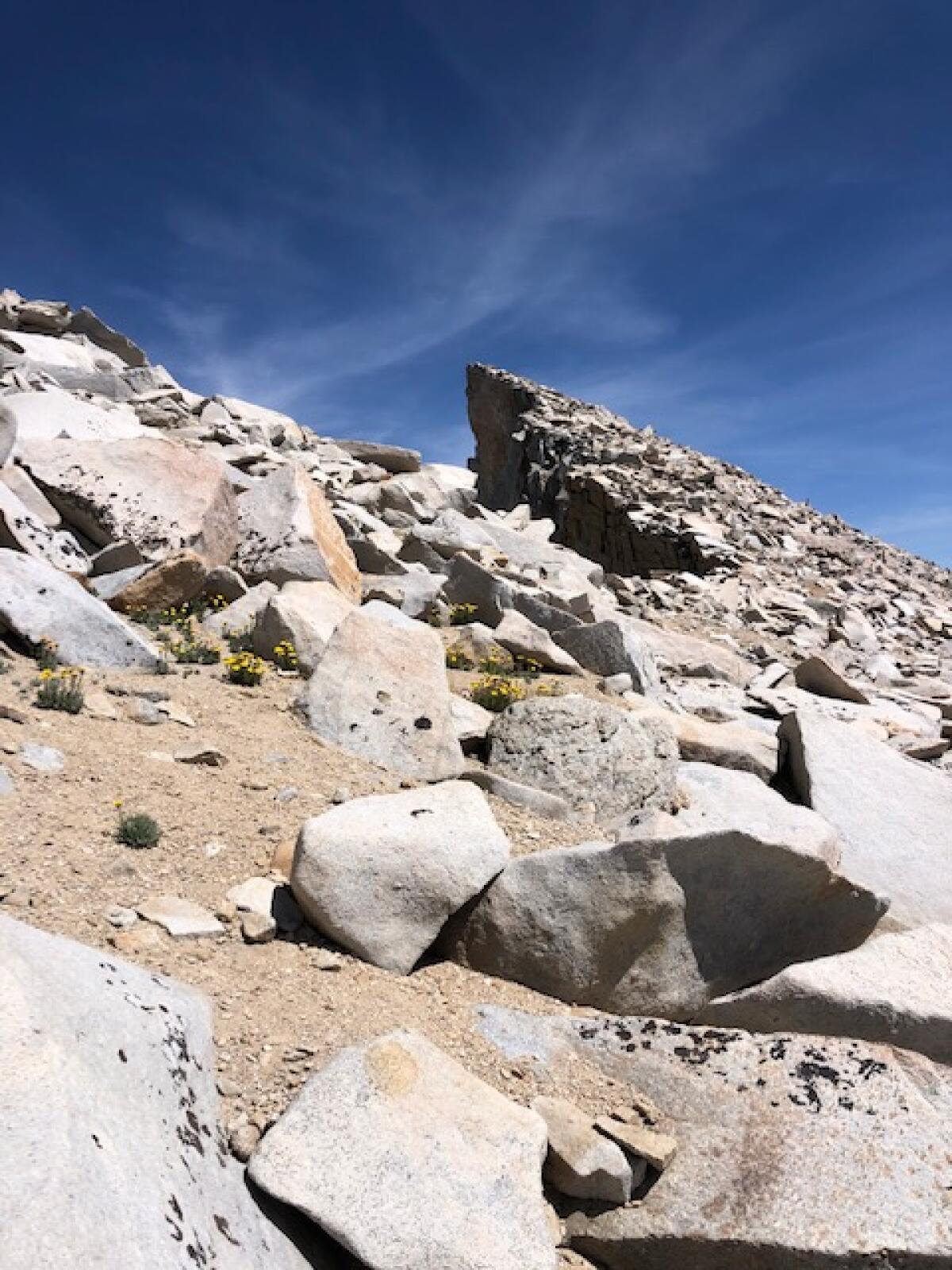 The Mt. Whitney Trail gets narrow and rocky on the way to the summit.