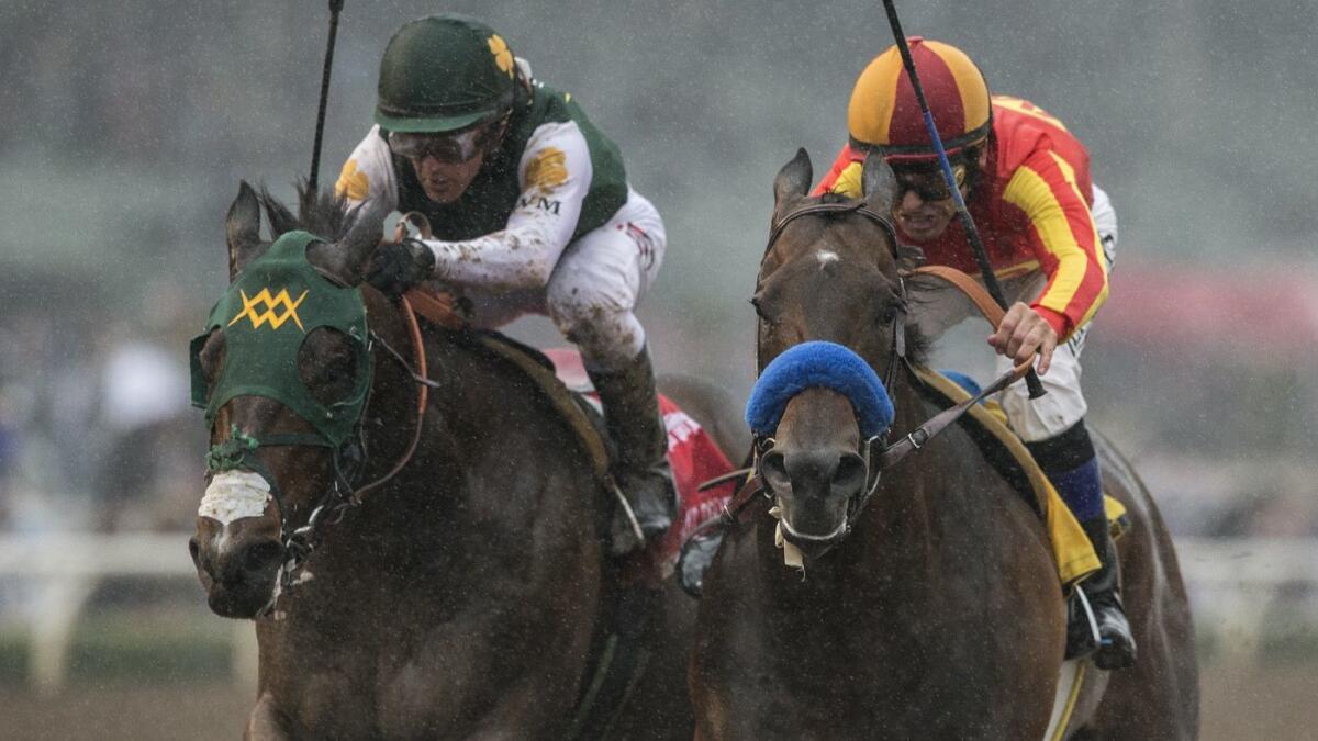 Bolt d'Oro, left, with jockey Javier Castellano, left, battles McKinzie and Mike Smith down the stretch before being declared the winner of the Grade 2 San Felipe Stakes on March 10.