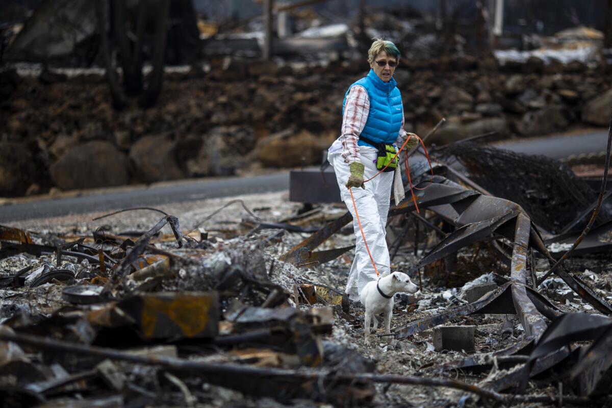 Institute for Canine Forensics handler Barbara Pence walks with search dog Asha amid the remains of a home in the Ridgewood Mobile Home Park in December in Paradise.