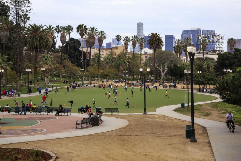 LOS ANGELES - CA - MARCH 17, 2015 - View of MacArthur Park with downtown Los Angeles on the backgroiund, March 17, 2015. (Ricardo DeAratanha/Los Angeles Times)