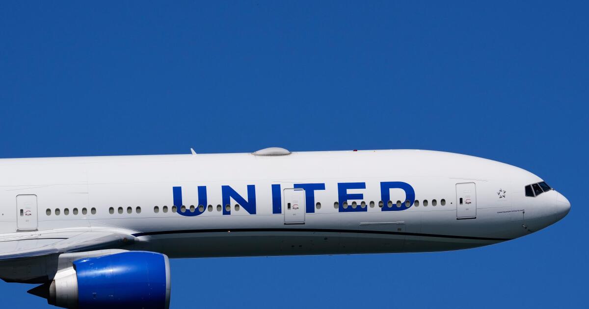 Un représentant de United menace d’appeler l’ICE sur un agent californien dans une vidéo virale