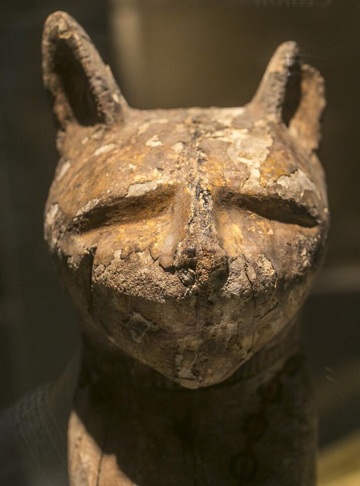This cat coffin with mummy is on display in a Bowers exhibition on the mummification of animals in the Egyptian culture and religion. Drawn from the renowned collections of the Brooklyn Museum, "Soulful Creatures" features choice examples from among the many millions of mummies of birds, cats, dogs, snakes, and other animals preserved from at least 31 different cemeteries throughout Egypt.