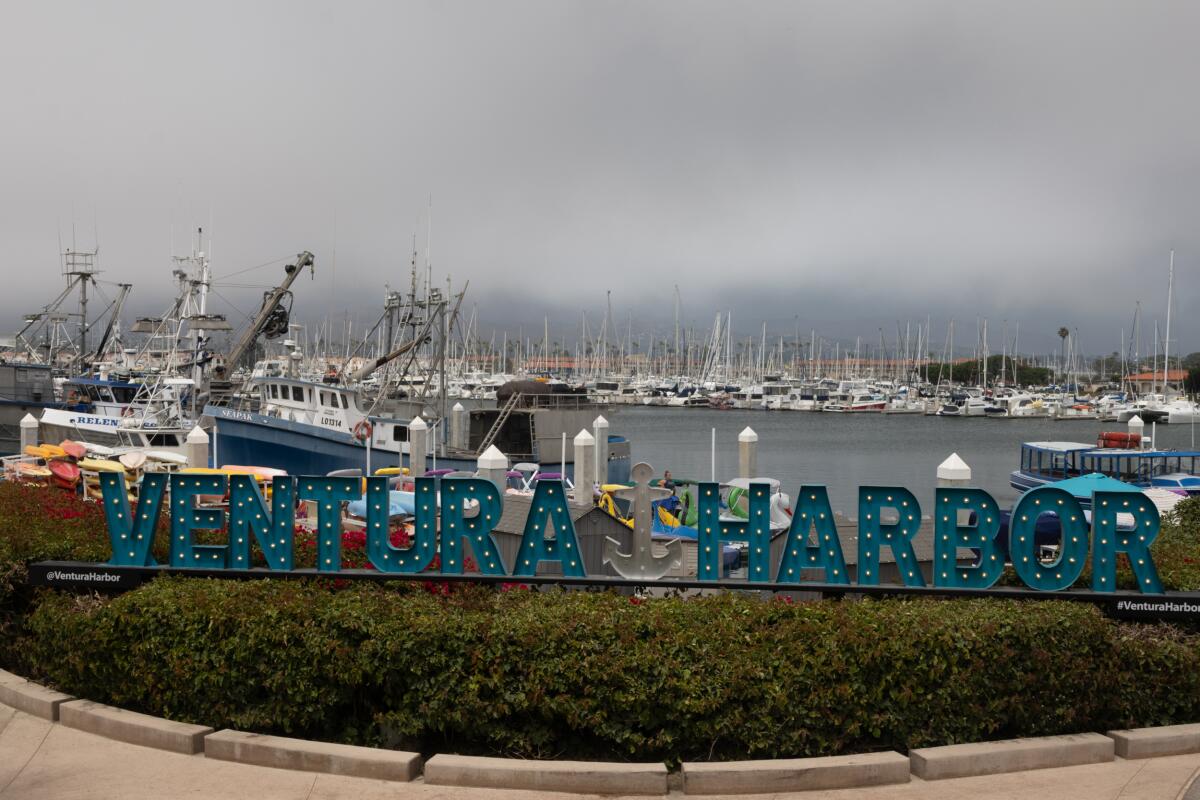 Boats are docked at a harbor behind a sign that reads Ventura Harbor