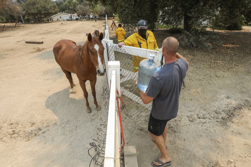 Clint Ganus holds a gate open for resident Pierre Nowak (right) carrying a freshly filled jug of water for his horse Diesel.