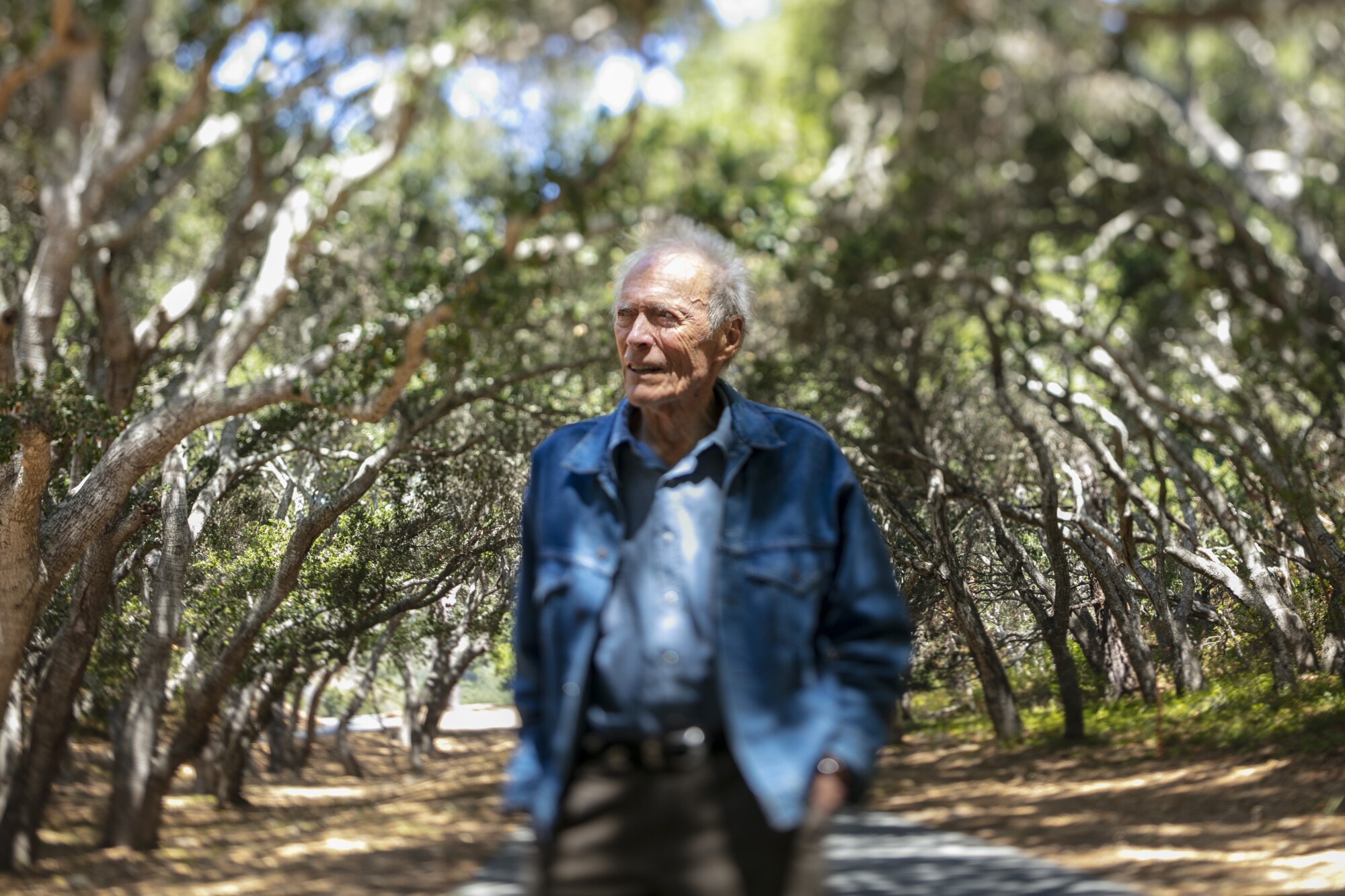 Oscar-winning director Clint Eastwood, 91, is photographed with a tilt-shift lens, on the grounds of his Tehama Golf Club