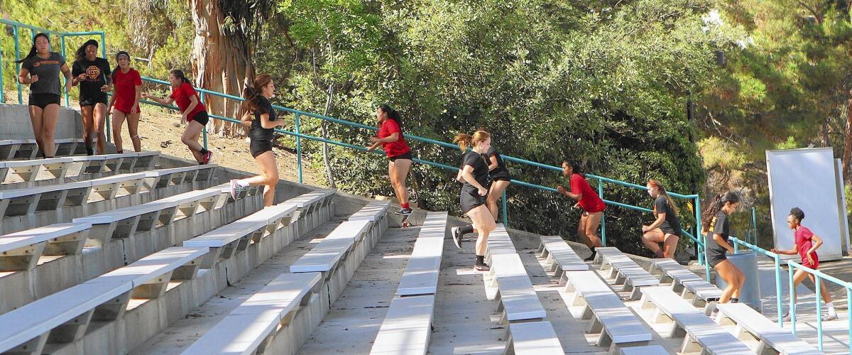 The women's volleyball team at Glendale Community College, lead by coach Yvette Ybarra, runs up and down the stairs of the stadium on Monday, August 18, 2014 and does sit-ups on the bleachers to get ready for the upcoming college volleyball season as the semester starts next week on Monday.