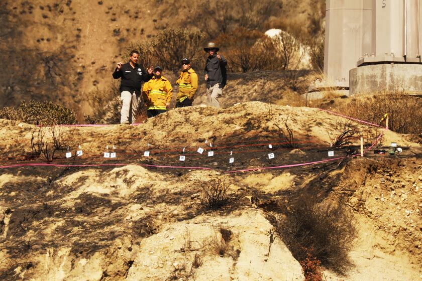 LOS ANGELES, CA - OCTOBER 15, 2019 Los Angeles City Fire inspectors with Los Angeles County Fire inspectors and private inspectors on Tuesday comb the scene in the foothills behind the homes located in the 14000 block of Saddleridge Lane in Sylmar under a Southern California Edison transmission tower and line as investigators try to determine the cause of the deadly Saddleridge fire. (Al Seib / Los Angeles Times)