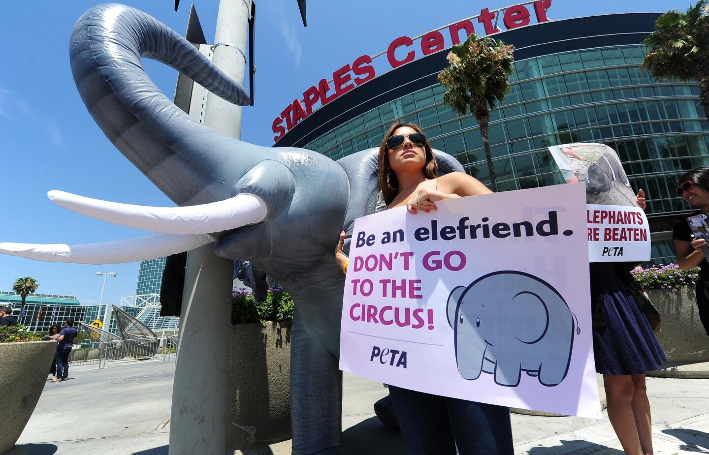 An animal rights activist holds a placard beside an inflatable elephant during a protest in front of the Staples Center in Los Angeles, on July 11, 2012 in California, on the opening day of the Ringling Bros. and Barnum & Bailey Circus.