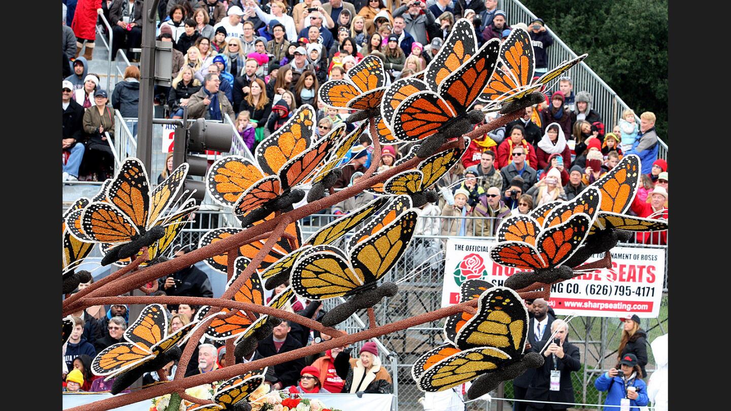 Photo Gallery: 2017 Rose Parade