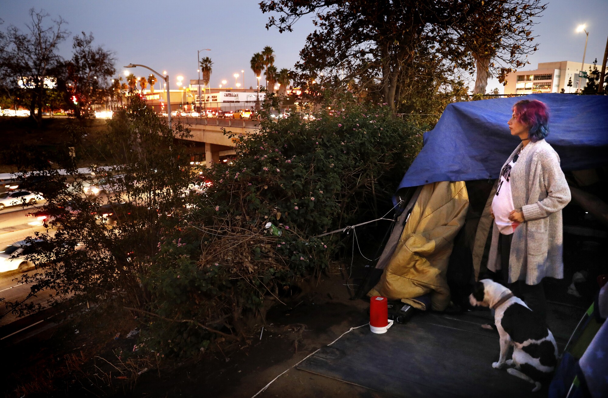 A pregnant woman standing outside a tent with a dog overlooking rushing cars on a freeway