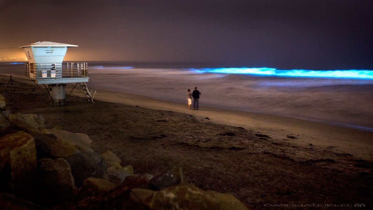 Carlsbad S Surf Is Sparkling With Bright Bioluminescence But You Can T Go To The Beach To See It The San Diego Union Tribune