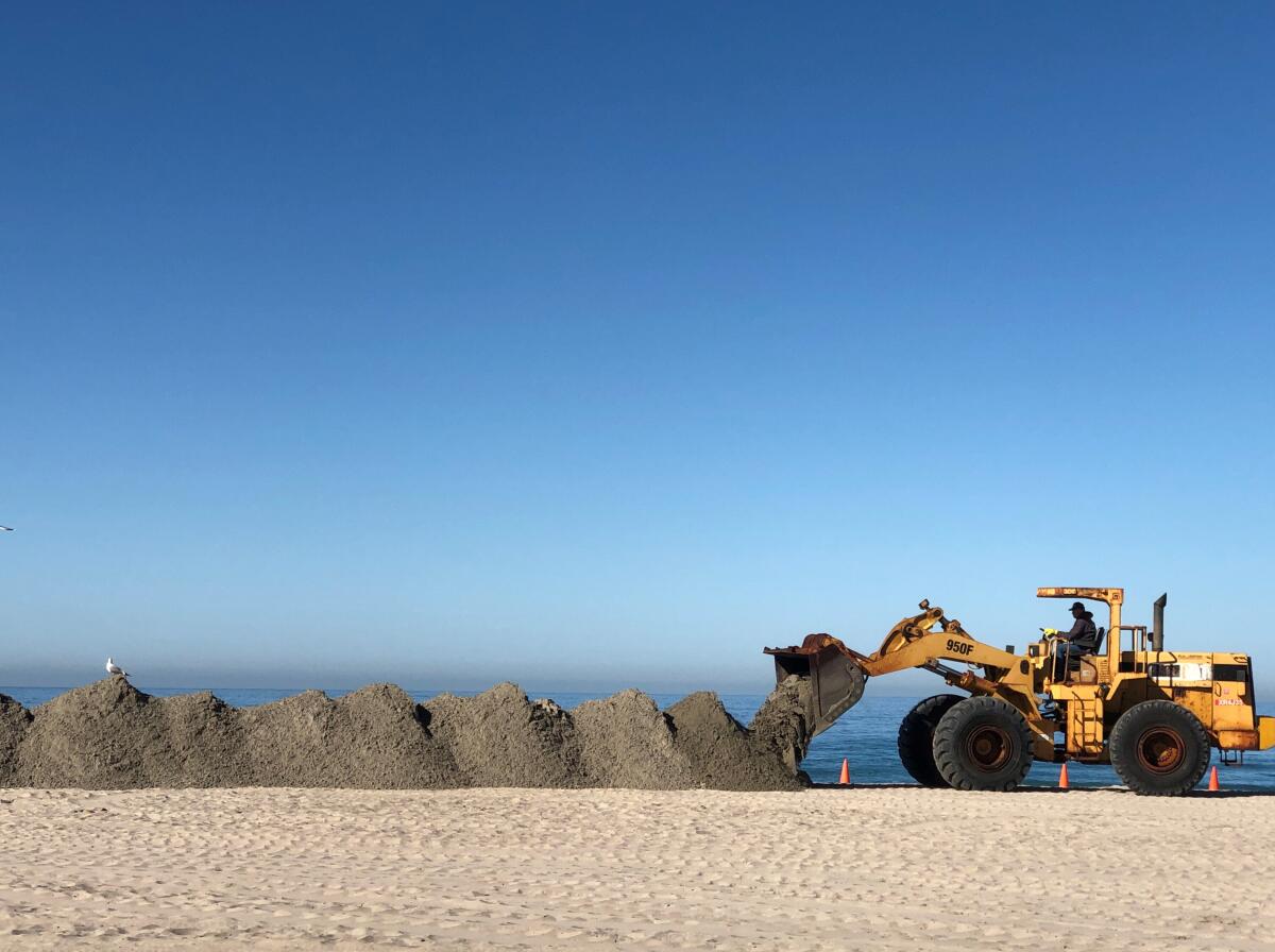 Workers dumped about 500 to 700 cubic yards of sand onto Moonlight Beach, part of sand replenishment efforts.