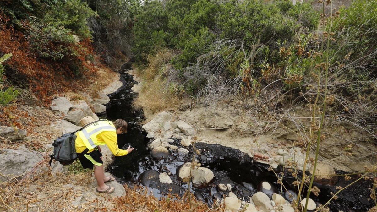 Gabriel Anderson, 13, photographs an oil spill behind a home in Ventura on June 23, 2016. He was with his father, Sean Anderson, a professor at Cal State Channel Islands, who was collecting samples to test for toxicity.