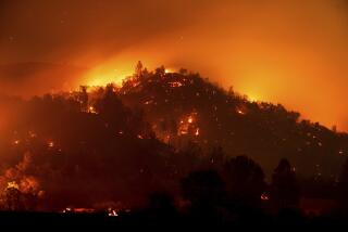 Flames from the French Fire burn on a hillside above Mariposa, Calif., on Friday, July 5, 2024. (AP Photo/Noah Berger)